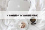 广东麻将骗术（广东麻将骗术视频）