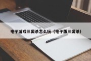 电子游戏三国杀怎么玩（电子版三国杀）