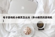 电子游戏机小精灵怎么玩（养小精灵的游戏机）