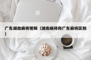 广东湖南麻将视频（湖南麻将和广东麻将区别）
