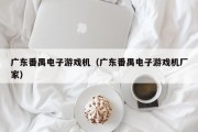 广东番禺电子游戏机（广东番禺电子游戏机厂家）