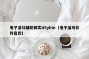 电子游戏辅助网实45ybin（电子游戏软件官网）