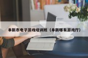 阜新市电子游戏培训班（阜新哪有游戏厅）