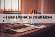 小学生玩的电子游戏机（小学生玩的电脑游戏）