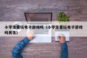 小学生爱玩电子游戏吗（小学生爱玩电子游戏吗男生）
