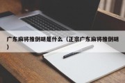 广东麻将推倒胡是什么（正宗广东麻将推倒胡）