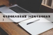 电子游戏机大京东自营（大型电子游戏机批发）