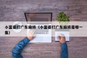 小富婆打广东麻将（小富婆打广东麻将是哪一集）