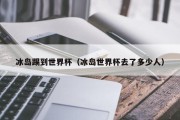 冰岛踢到世界杯（冰岛世界杯去了多少人）