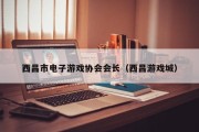 西昌市电子游戏协会会长（西昌游戏城）