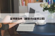 篮球国信杯（国信cba篮球公园）