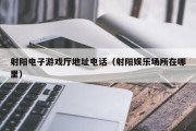 射阳电子游戏厅地址电话（射阳娱乐场所在哪里）