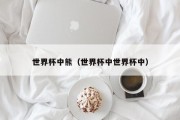 世界杯中熊（世界杯中世界杯中）
